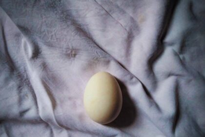 oeuf de yoni