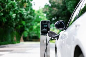 Voiture électrique d'occasion garée dans un environnement naturel