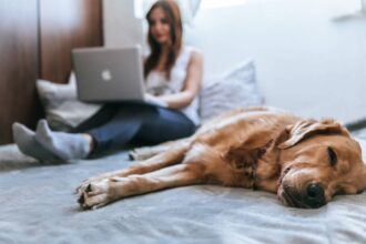 Maître et chien en séance de formation Esprit Dog
