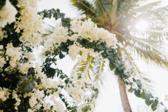 Arbustes à fleurs blanches dans un jardin lumineux et élégant
