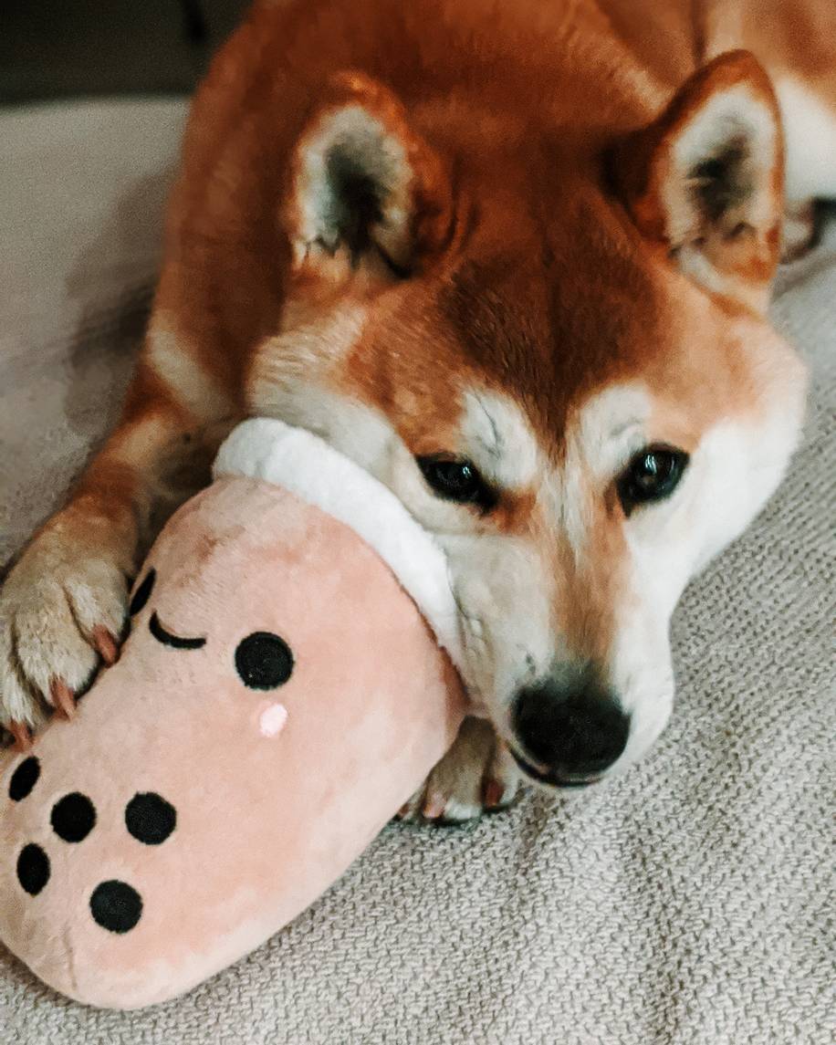 peluche bubble tea