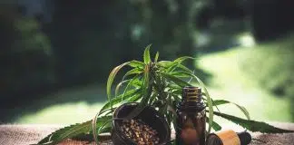 cbd