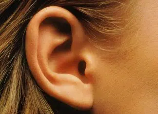 Gros plan sur une oreille humaine