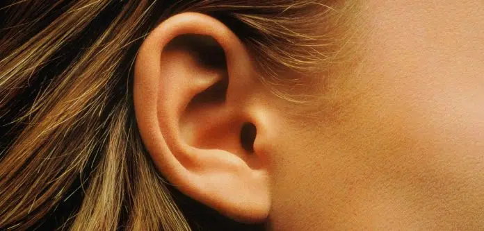 Gros plan sur une oreille humaine