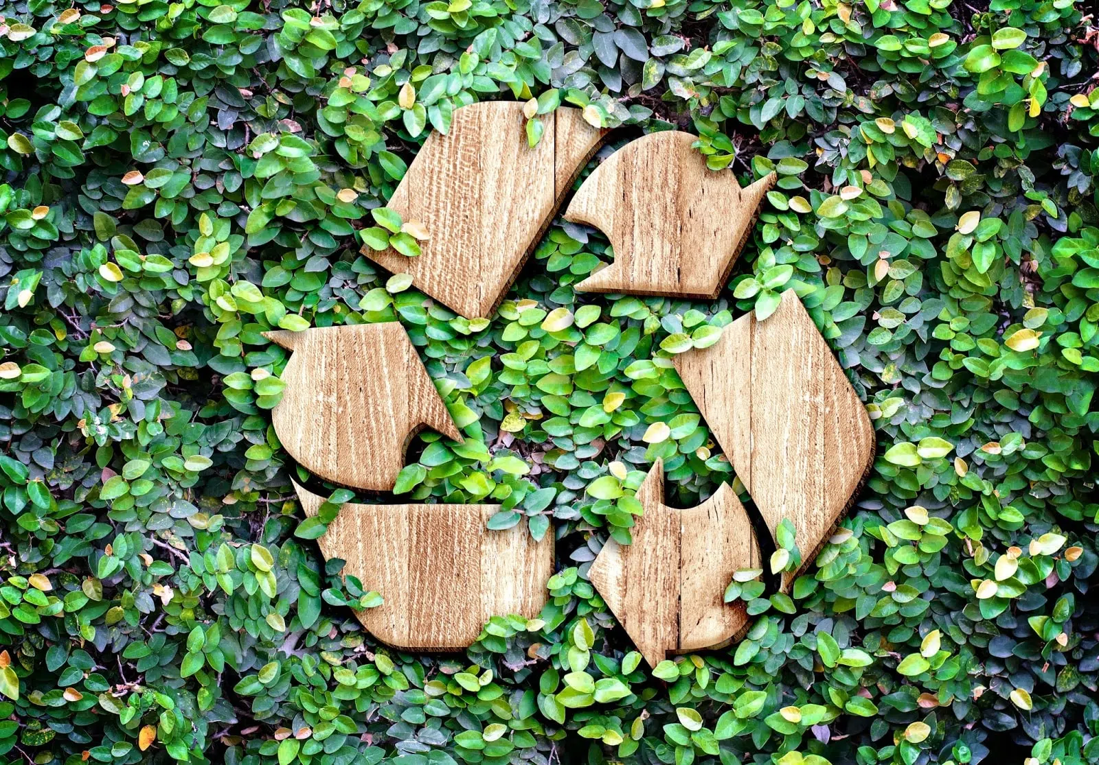 Logo du recyclage durable
