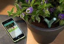 Le top des objets high-tech pour le jardin