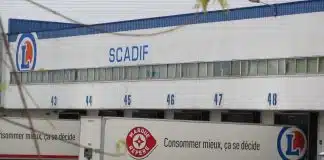 Scadif, le spécialiste de la grande distribution