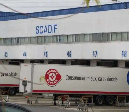 Scadif, le spécialiste de la grande distribution