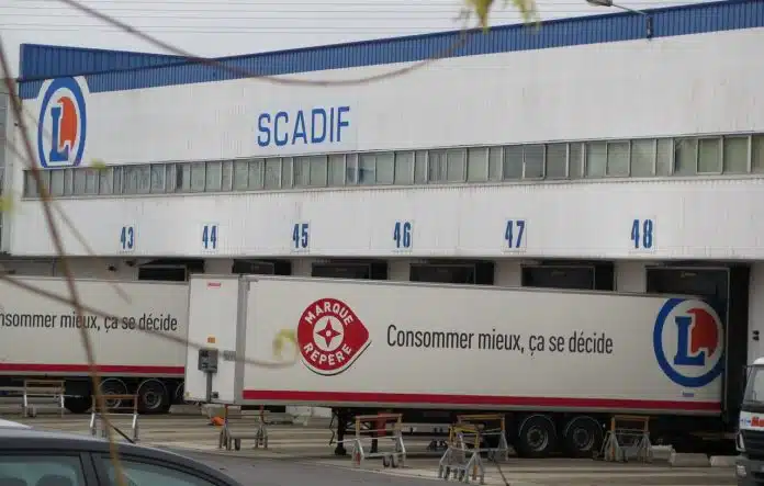 Scadif, le spécialiste de la grande distribution