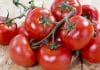 Tomate (fruit ou légume ) saison, bienfaits et recettes