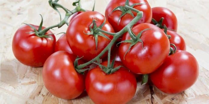 Tomate (fruit ou légume ) saison, bienfaits et recettes
