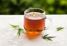 Tout savoir sur les infusions de CBD