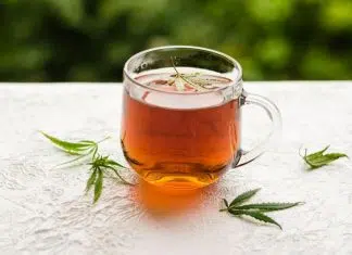 Tout savoir sur les infusions de CBD