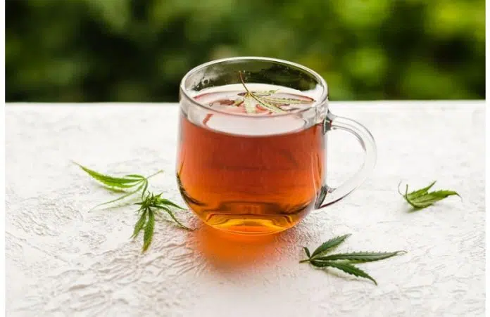 Tout savoir sur les infusions de CBD