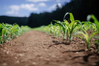 Soutien gouvernemental aux investissements agroalimentaires en France