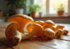 Champignons chanterelle frais sur une table en bois