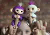 fingerlings