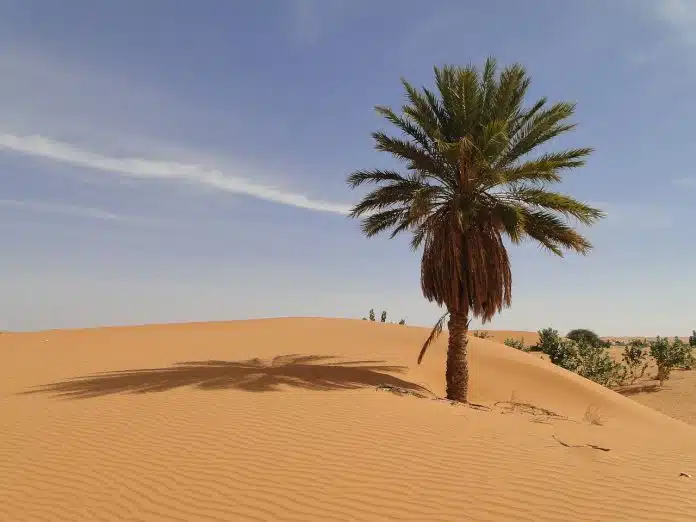 Mauritanie