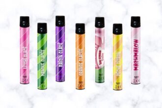 Vapoteurs découvrant le puff en gros chez Liquideo