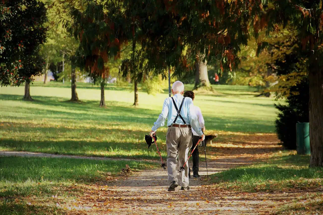 Quelles sont les prestations proposées par un jardinier paysagiste ?